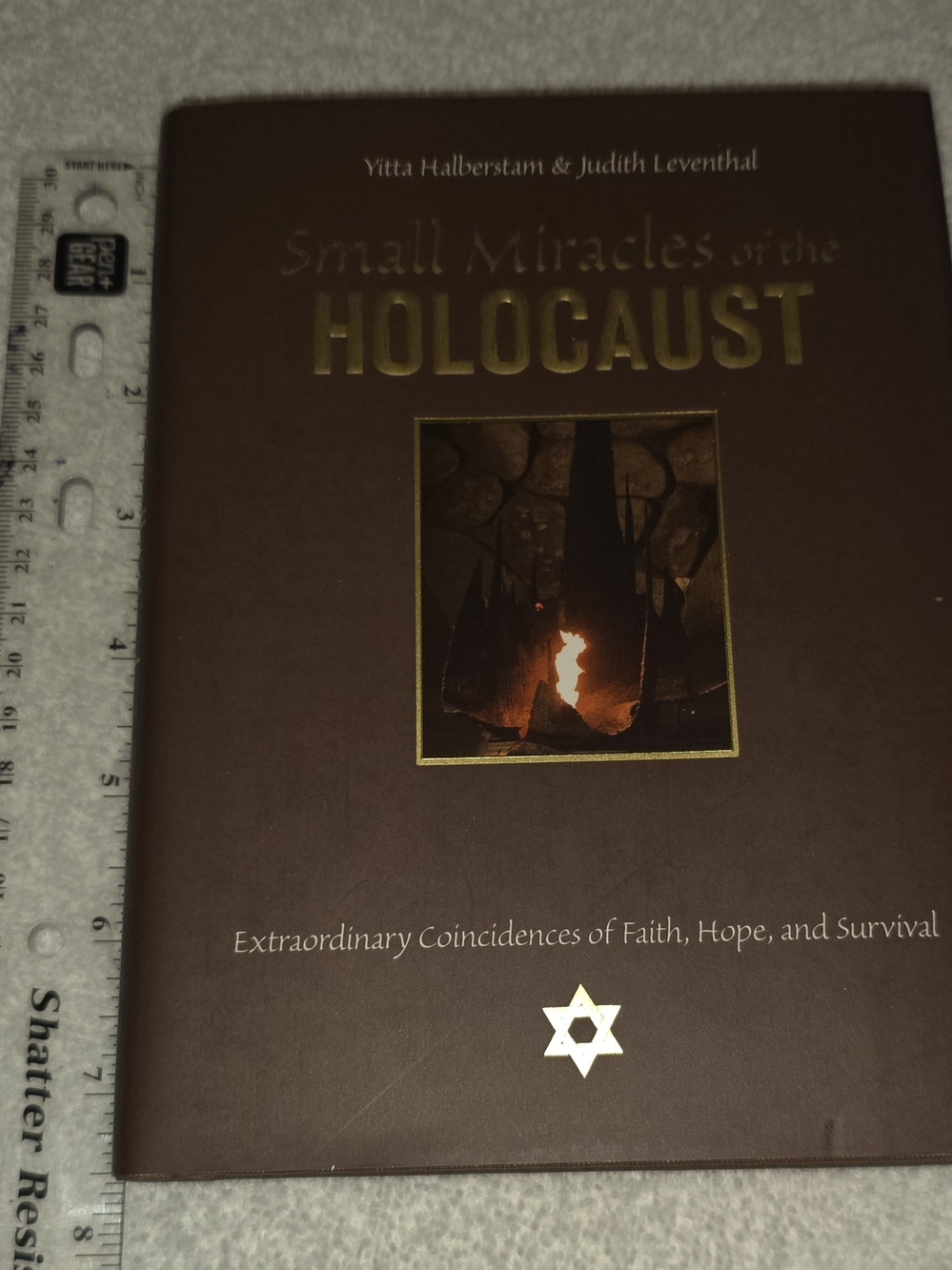 Small Miracles of the Holocaust - Brown Hardcover